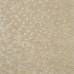 Bird's Eye-1-221 Bird's Eye-1-221