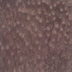 Bird's Eye-1-223 Bird's Eye-1-223