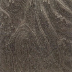 Bird's Eye-1-234 Bird's Eye-1-234