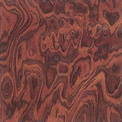 Burl-501 Burl-501