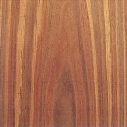 Canadian Walnut F300 Canadian Walnut F300