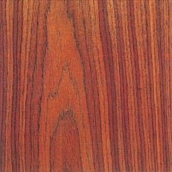 Rio Palisander-F450 Rio Palisander-F450