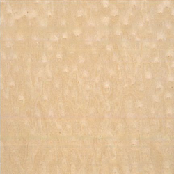 Bird's Eye-1-125 Bird's Eye-1-125