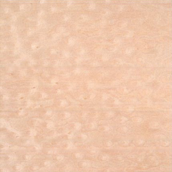 Bird's Eye-1-310 Bird's Eye-1-310