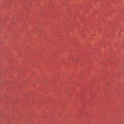 Bird's Eye-2-412 Bird's Eye-2-412