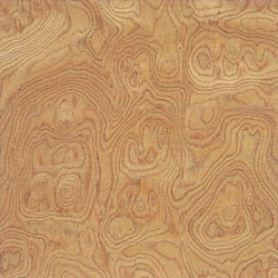 RM-54F-ST-316B RM-54F-ST-316B