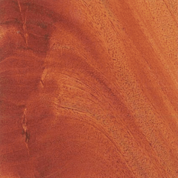 Mahogany Curl Mahogany Curl