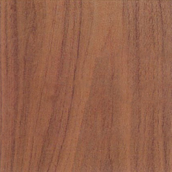 American Black Walnut American Black Walnut