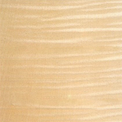 Figured Sycamore Figured Sycamore