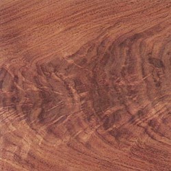 Walnut Curl Walnut Curl